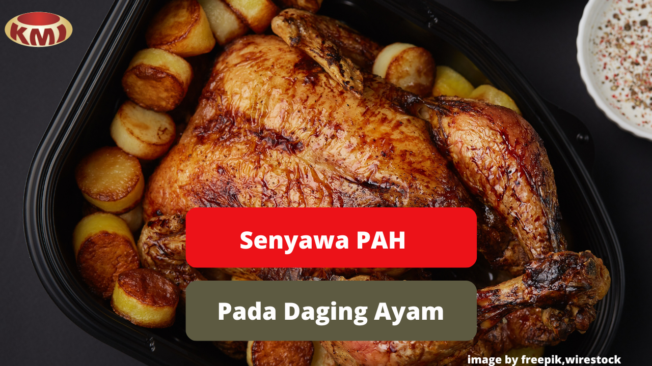 Ketahui Bahaya Senyawa HCA Pada Daging Ayam Agar Tetap Sehat